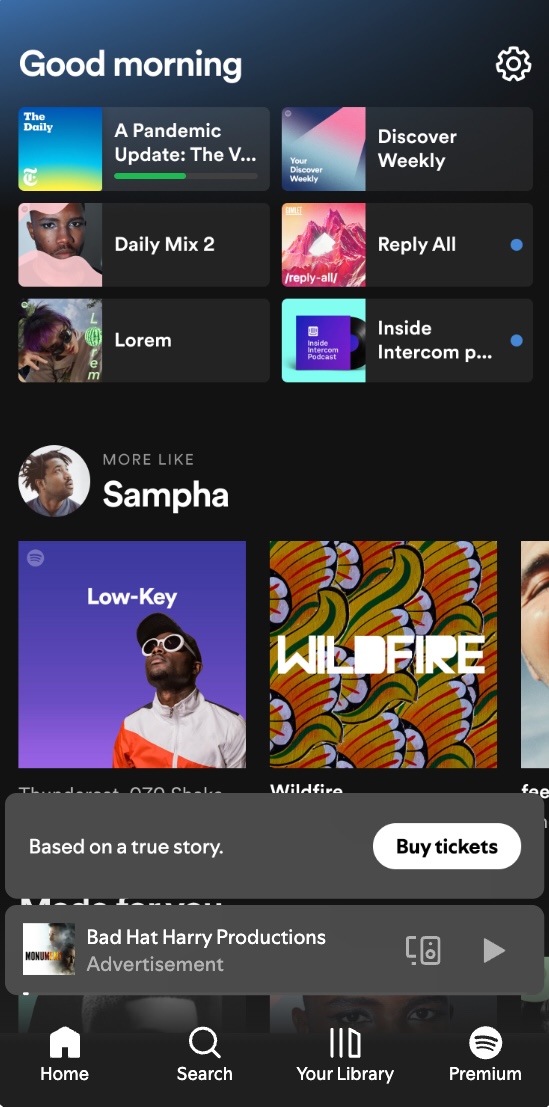 Spotify Mobile In-Feed Ad Preview